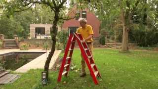 Appelboom snoeien  Fruitbomen zomersnoei  Tuinieren met Hendrik Jan de Tuinman [upl. by Masry]