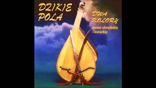 Dzikie Pola  Polka do rana [upl. by Acyre334]