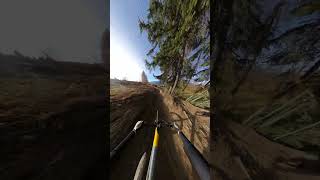 OMG Wait for the jump flowcam shorts short mtb pov trending trend youtubeshorts [upl. by Halladba]