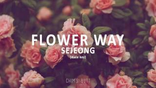 Flower Way  Sejeong male key [upl. by Rolyt]