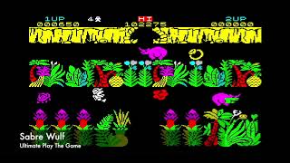 Top 50 ZX Spectrum games of 1984  in under 10 minutes [upl. by Okoyk733]