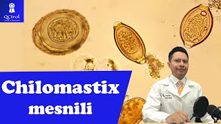 Conoce a Chilomastix mesnili morfología y CLAVES para su identificación🔬 [upl. by Tegan587]