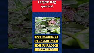 Guess the Largest frog species shortsviral fypage シ゚viral viralshorts viralvideoシ fypage [upl. by Lowenstein273]