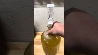 Traditional mead using the Craft a Brew meadmaking kit [upl. by Iggie]