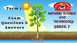 Ace your Natural Science and Technology Grade 7 Term 1 Exam Expertapproved QampA 2024  Watch now [upl. by Thacher]