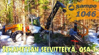 Sampo Rosenlew 1046 sekametsän selvittelyä osa 13🌲🌳 [upl. by Anedal]