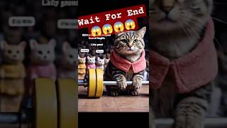 Mini Cat Workouts shorts cat cute kitten [upl. by Yrelle479]