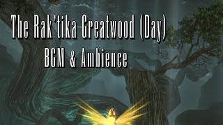 FFXIV Field The Raktika Greatwood Day BGM amp Ambience [upl. by Jacki]