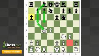 Chess Openings How to Play the Catalan [upl. by Schwab]