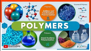 Polymers Unleashed Discover the Science Behind Everyday Materials [upl. by Ramsdell]