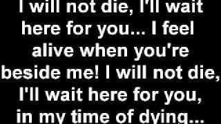 Three Days Grace  Time of Dying lyrics [upl. by Beaufort400]