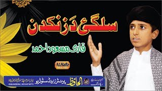 Pashtoo Hd Islahi Kalam Salgai Da Zankadan By Qari Masood Ahmad [upl. by Naam]