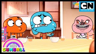 Anais The Evil Genius  Gumball  Cartoon Network [upl. by Donegan]