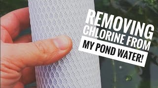 Removing chlorine from my pond water [upl. by Spector]