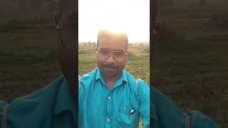 Mangi Tungi Evening time naturelovers viralvideo travel reelkarofeelkaro [upl. by Augie]