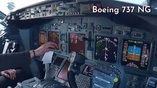 Boeing 737 Landing Gear Trivia aviation avgeek pilot [upl. by Starks]