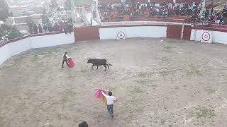 TARDE TAURINA EN SAN MATEO DE HUANCHOR SEÑOR DE LOS MILAGROS DE SAN MATEO 2024 [upl. by Nedah]