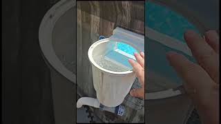 bestway pool mods with Intex saltwater sandfilter Hayward skimmer amp robot [upl. by Dafodil700]