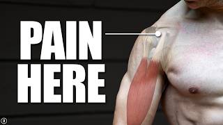 Biceps Tendinopathy  Tendinitis  Anterior Shoulder Pain Rehab Education amp Exercises [upl. by Aniuqahs]