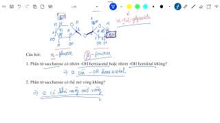 Saccharose và maltose [upl. by Austina]