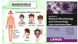 Microbiology  Rhinovirus microbiology rhinovirus [upl. by Cimbura]