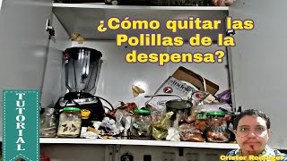 ¿Còmo quitar las polillas de la despensa de la cocina [upl. by Tiny]