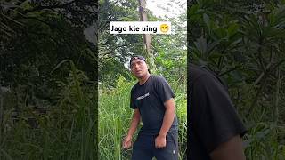 Jago kie uing 😀 komedi fypyoutube [upl. by Ailerua]