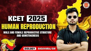 Human Reproduction  Male and Female reproductive structure and Gametogenesis  KCET 2025 Biology [upl. by Seko985]