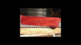 Bloodwood facts [upl. by Siseneg917]