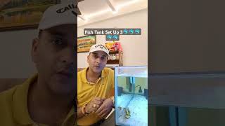 Fish Tank Set Up 3 Best Feed 🐬🐬🐬🐬🐬 [upl. by Odlanar]