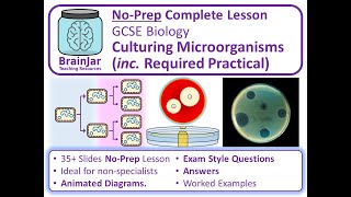 Culturing Microorganisms and Required Practical  AQA GCSE Biology [upl. by Nilreb]