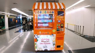 Mochi Ice Cream Machine [upl. by Fregger783]