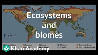 Ecosystems and biomes  Ecology and natural systems  High school biology  Khan Academy [upl. by Nulubez]