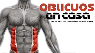 ABDOMINALES OBLICUOS EN CASA UNO DE LOS MEJORES EJERCICIOS [upl. by Nnylyram]