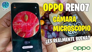 Oppo Reno 7 Prueba de Cámara Microscopio ¿Es realmente buena [upl. by Adnolay670]