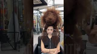 This barber is the worlds greatest artist 🦁🥸  Arts Hacks [upl. by Lawson]