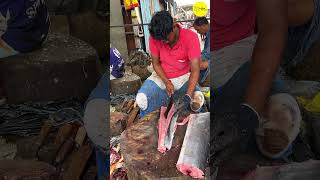 KASIMEDU BIG INDO PACIFIC SAILFISH FISH kasimeduselvam youtube shorts bigfishcutting bigfish [upl. by Ilrebmik]