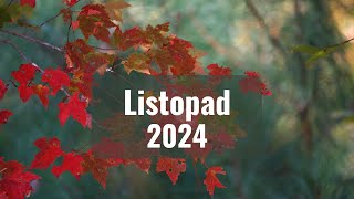 Horoskop dla wszystkich znaków zodiaku na listopad 2024 [upl. by Etireuqram]