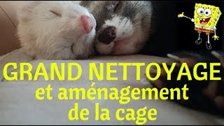 Nettoyage et aménagement cage chez Les Furets Malins [upl. by Aissak385]