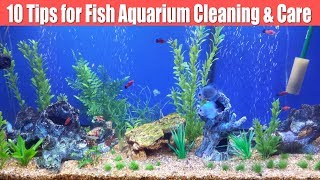 10 Tips for How to clean fish aquariumtank hindi Fish Tank Ka Pani Kese Change Aquarium medicine [upl. by Aztilay]