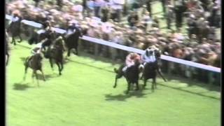 1975 Terrys All Gold Ebor Handicap [upl. by Eatton724]