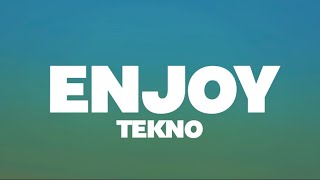 Tekno  Enjoy Lyrics [upl. by Etty]