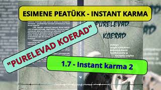 17  Instant karma 2  Audioraamat [upl. by Innoj]