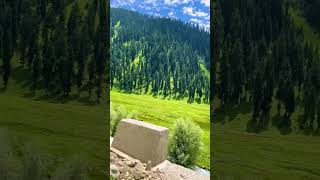 Warwan valley Kishtwar Pogal Paristan Kashmir [upl. by Caryl]