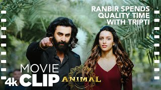 ANIMAL SCENE 20 Ranbir Spends Quality Time With Tripti  Ranbir K Tripti D Sandeep V Bhushan K [upl. by Niattirb]