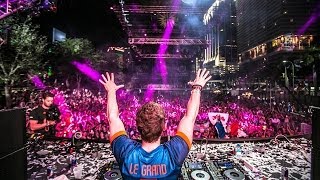 Fedde Le Grand  Live at Ultra Music Festival 2014 [upl. by Drummond624]