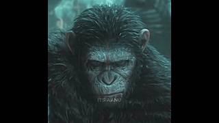 Planet Of The Apes  Caesar Edit 🔥 shorts [upl. by Huba]