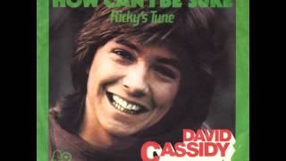 David Cassidy  How Can I Be Sure [upl. by Kobe450]