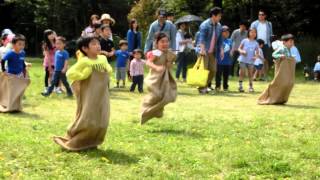 Easter 2014  Potato Sack Race [upl. by Chemash]