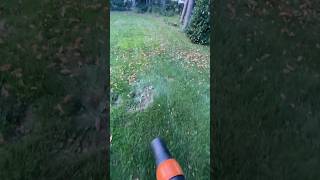 STIHL BR700 lawncare lawnmaintenance leafcleanup leafs fall [upl. by Reinhold423]